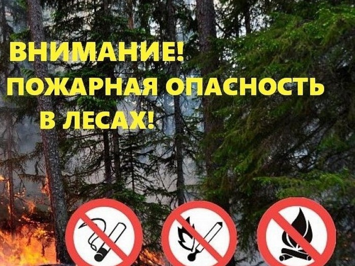 Внимание! Высокая пожарная опасность в лесах!.
