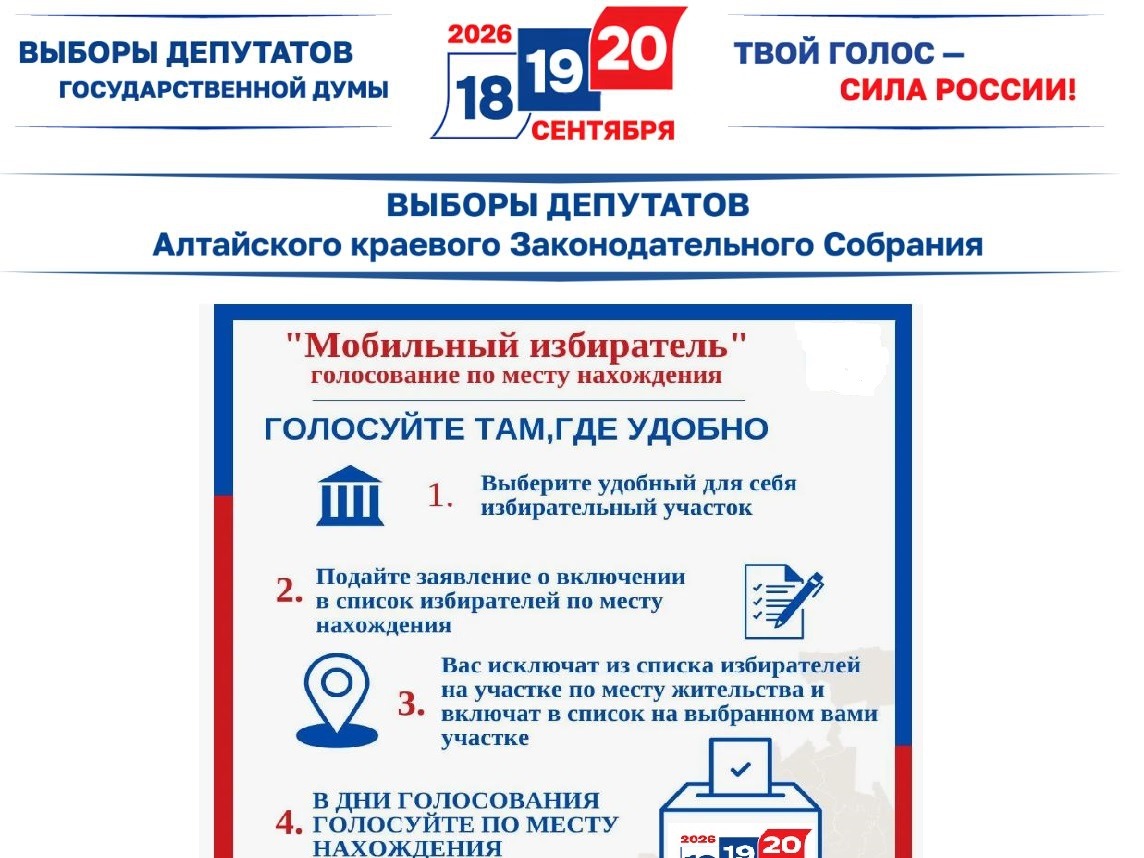 Механизм «Мобильный избиратель».