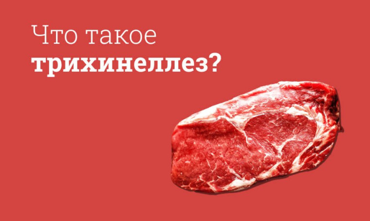 ТРИХИНЕЛЛЕЗ — глистная инвазия человека и животных, вызываемая круглыми червями — нематодами рода трихинелла.